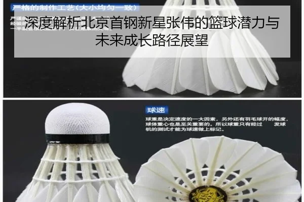 深度解析北京首钢新星张伟的篮球潜力与未来成长路径展望